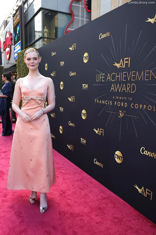 Elle Fanning photo 12 of 4114