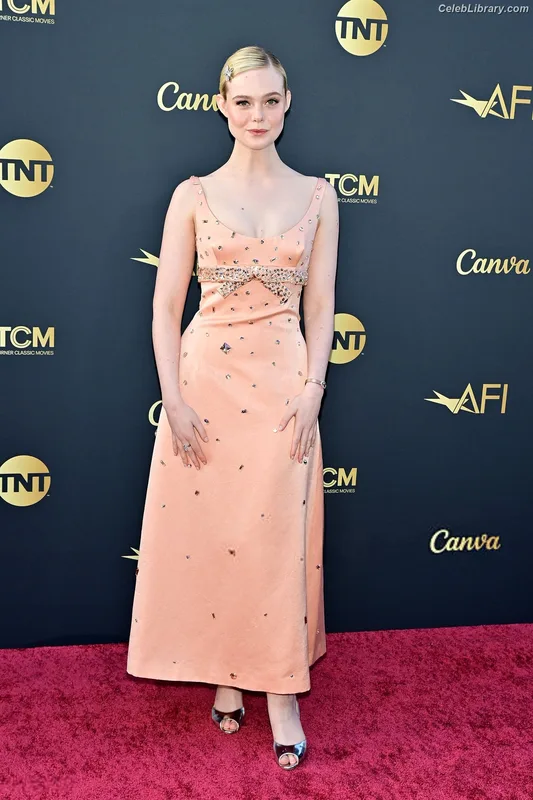 Elle Fanning photo 5 of 4114