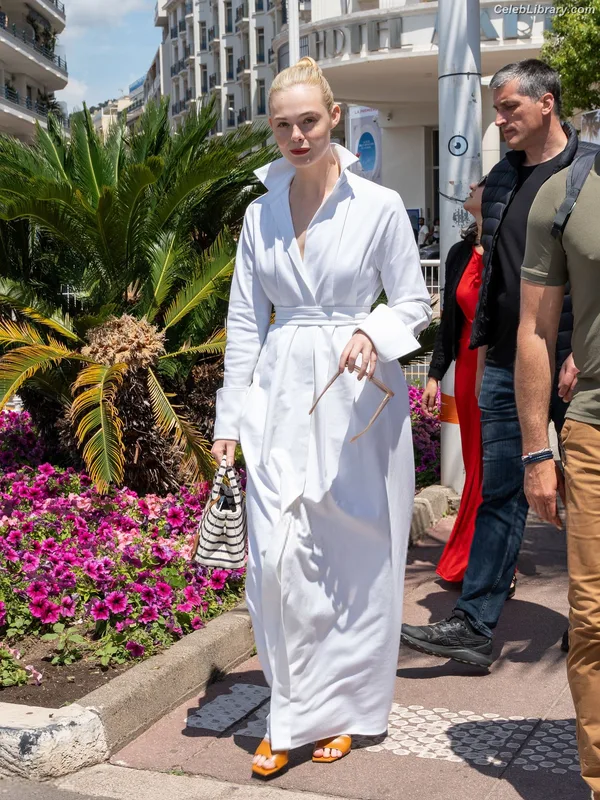 Elle Fanning photo 4 of 4114