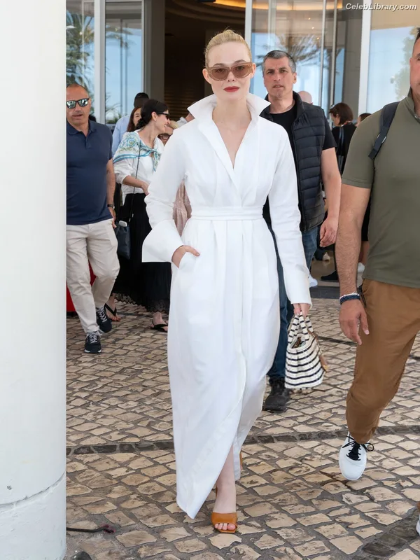 Elle Fanning photo 4 of 4114