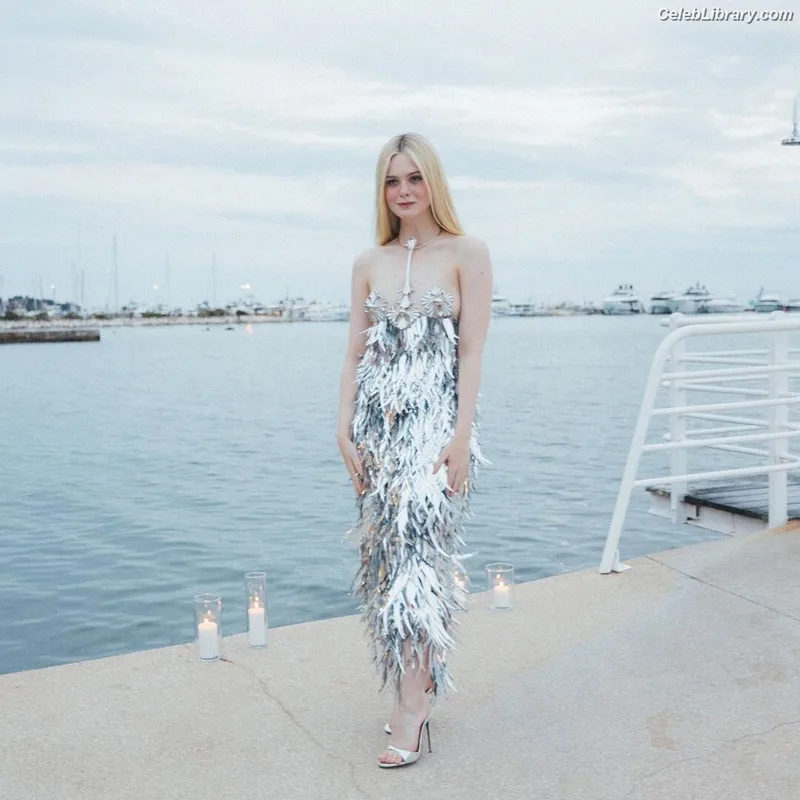 Elle Fanning photo 5 of 4114