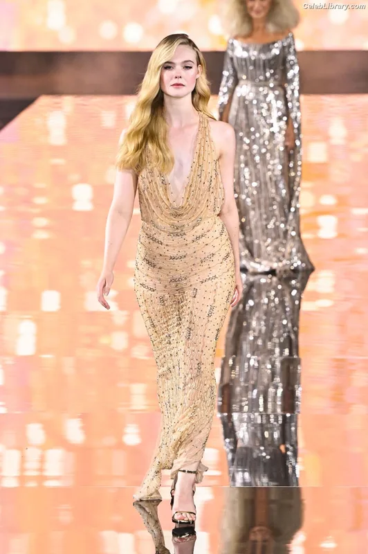 Elle Fanning photo 23 of 4114