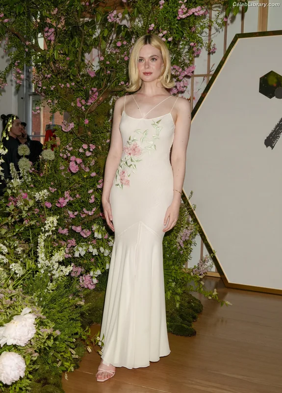 Elle Fanning photo 8 of 4114