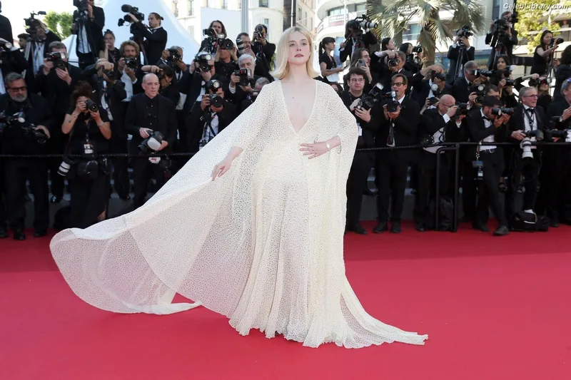 Elle Fanning photo 12 of 4114