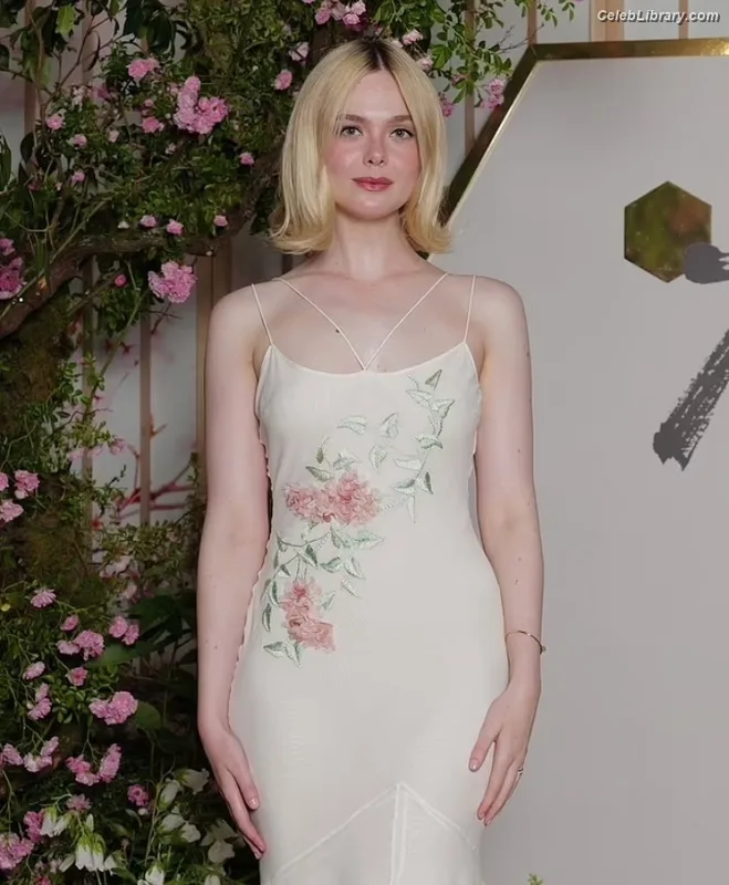 Elle Fanning photo 5 of 4114