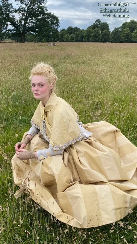 Elle Fanning photo 11 of 4114