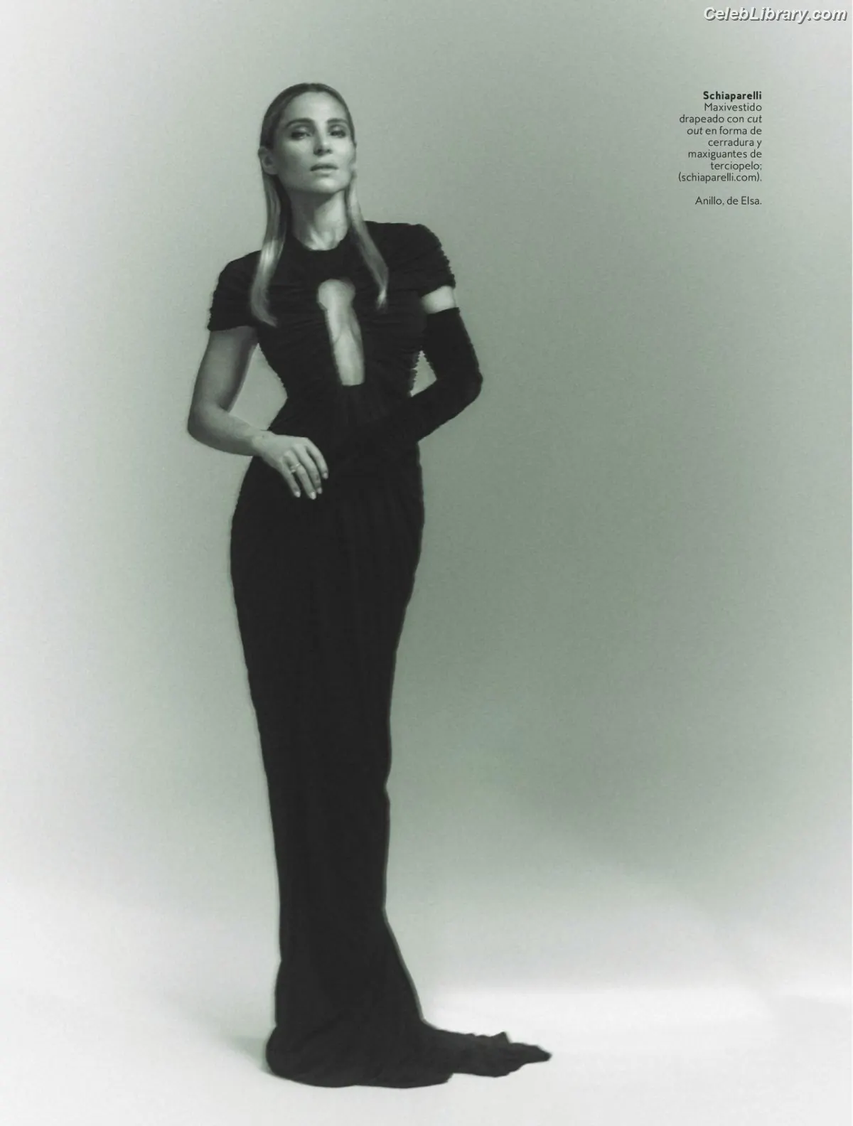 Elsa Pataky photo 20 of 315