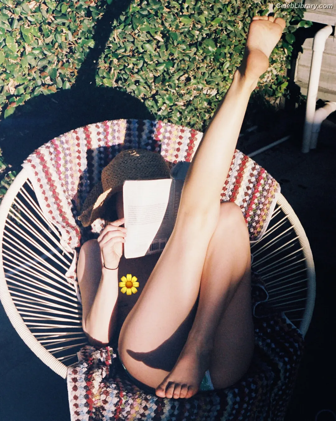 Emily Browning photo 19 of 102