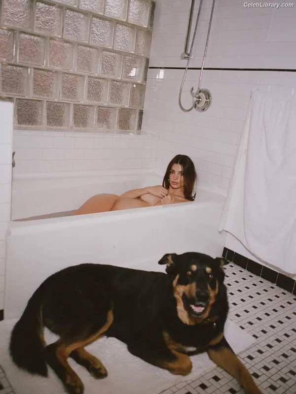 Emily Ratajkowski photo 3 of 3958