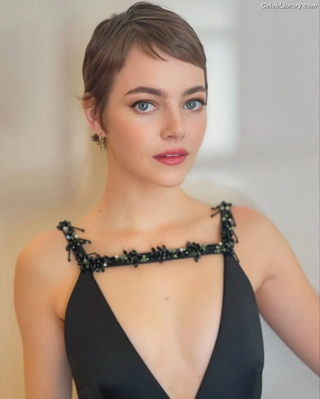 Emma Stone photo 1 of 1455