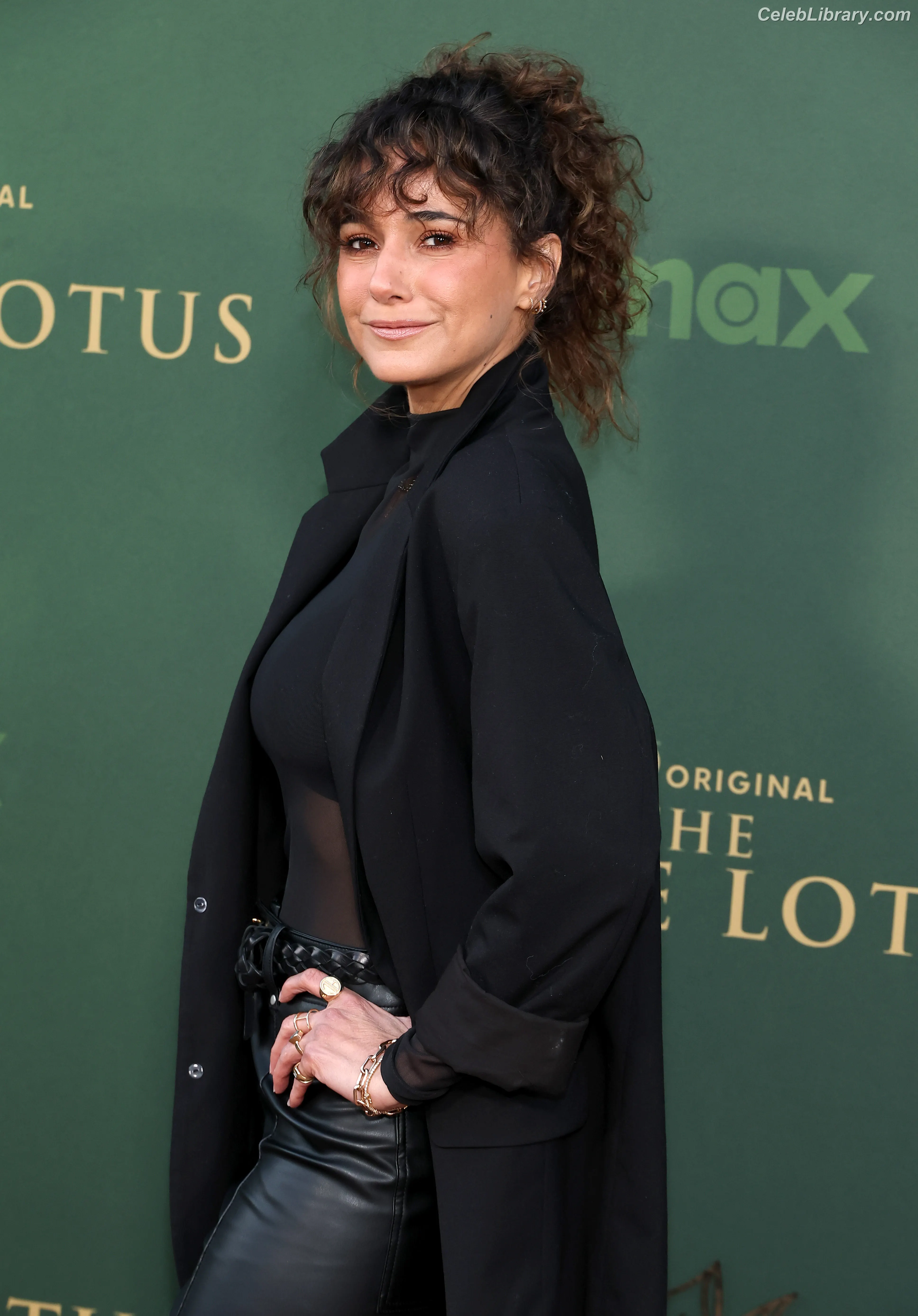Emmanuelle Chriqui photo 17 of 399