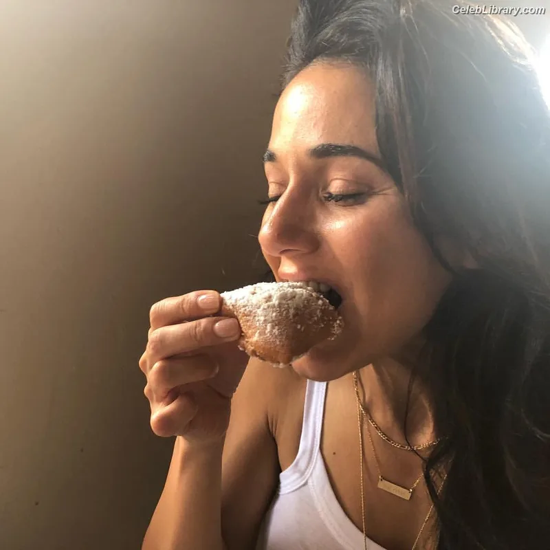 Emmanuelle Chriqui photo 19 of 400