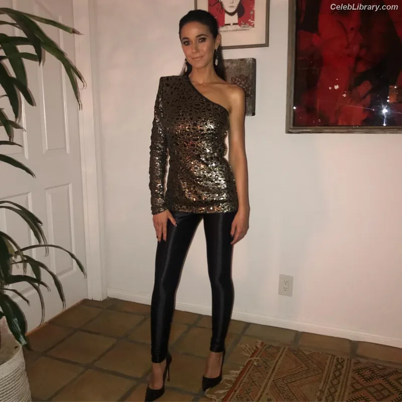 Emmanuelle Chriqui photo 23 of 400