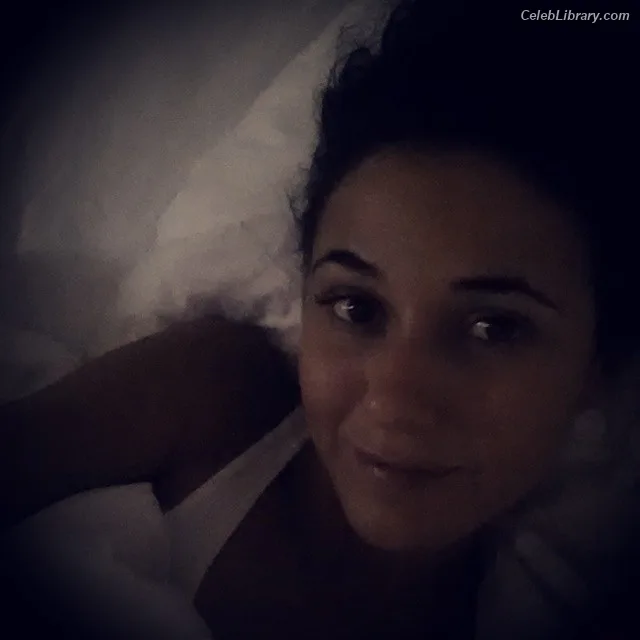 Emmanuelle Chriqui photo 6 of 400