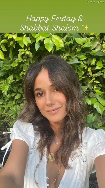 Emmanuelle Chriqui photo 2 of 400