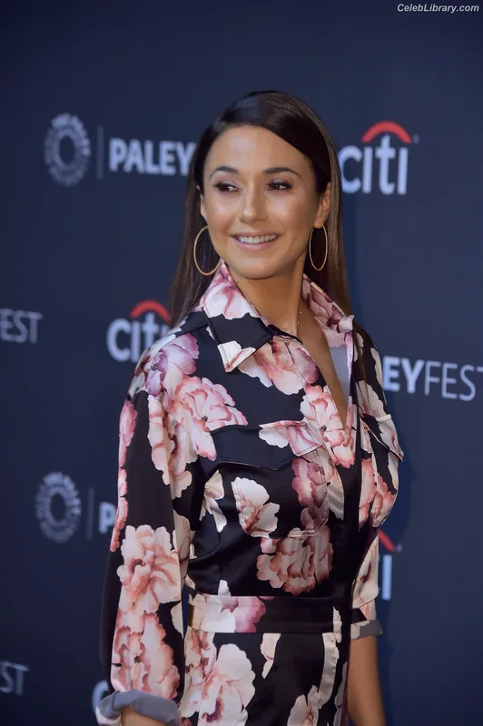 Emmanuelle Chriqui photo 2 of 400