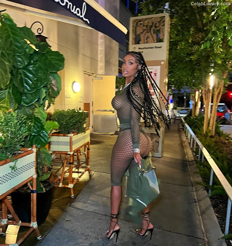 Erica Mena photo 19 of 73