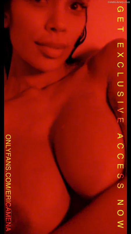 Erica Mena photo 18 of 73