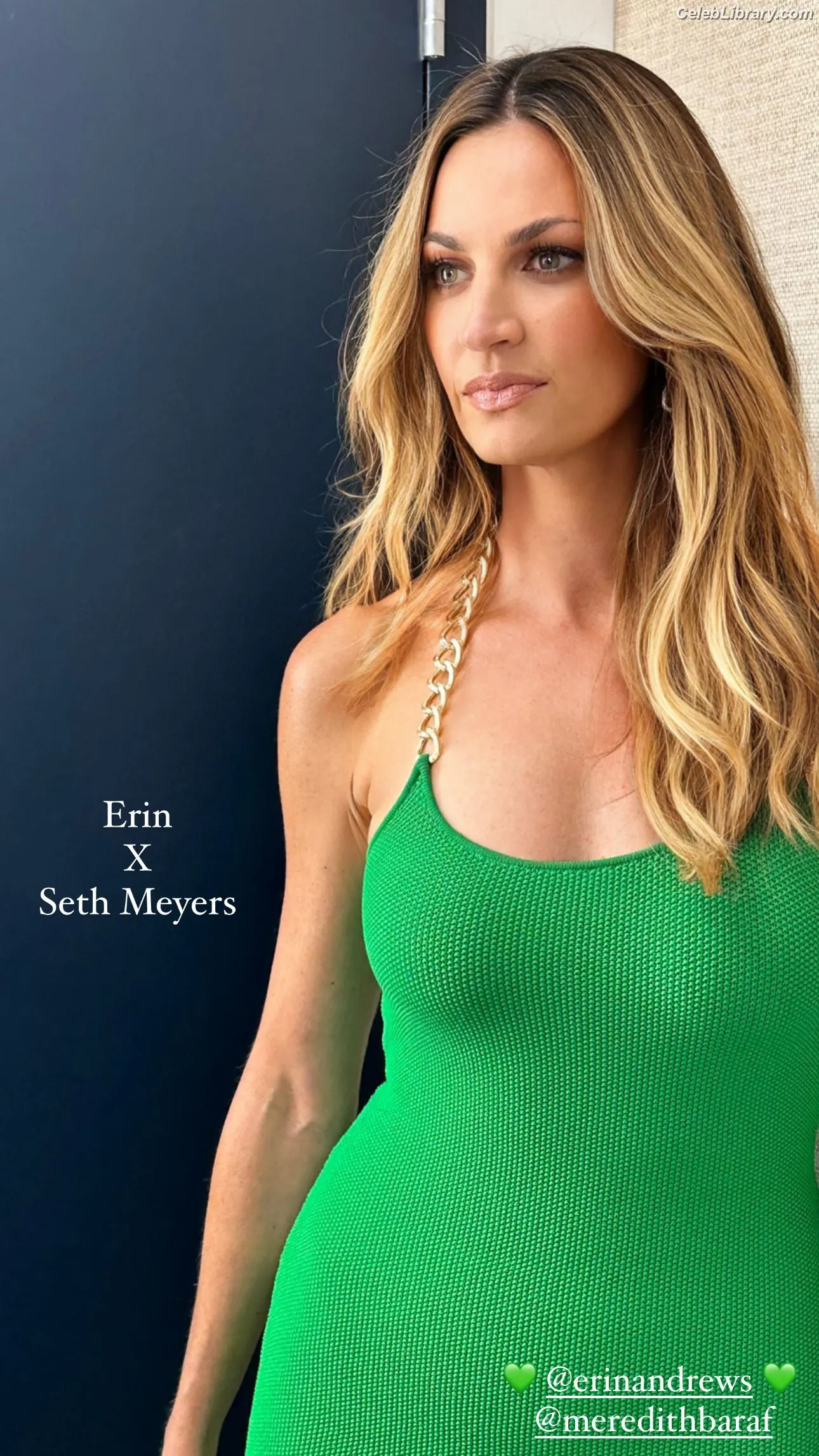 Erin Andrews photo 10 of 161
