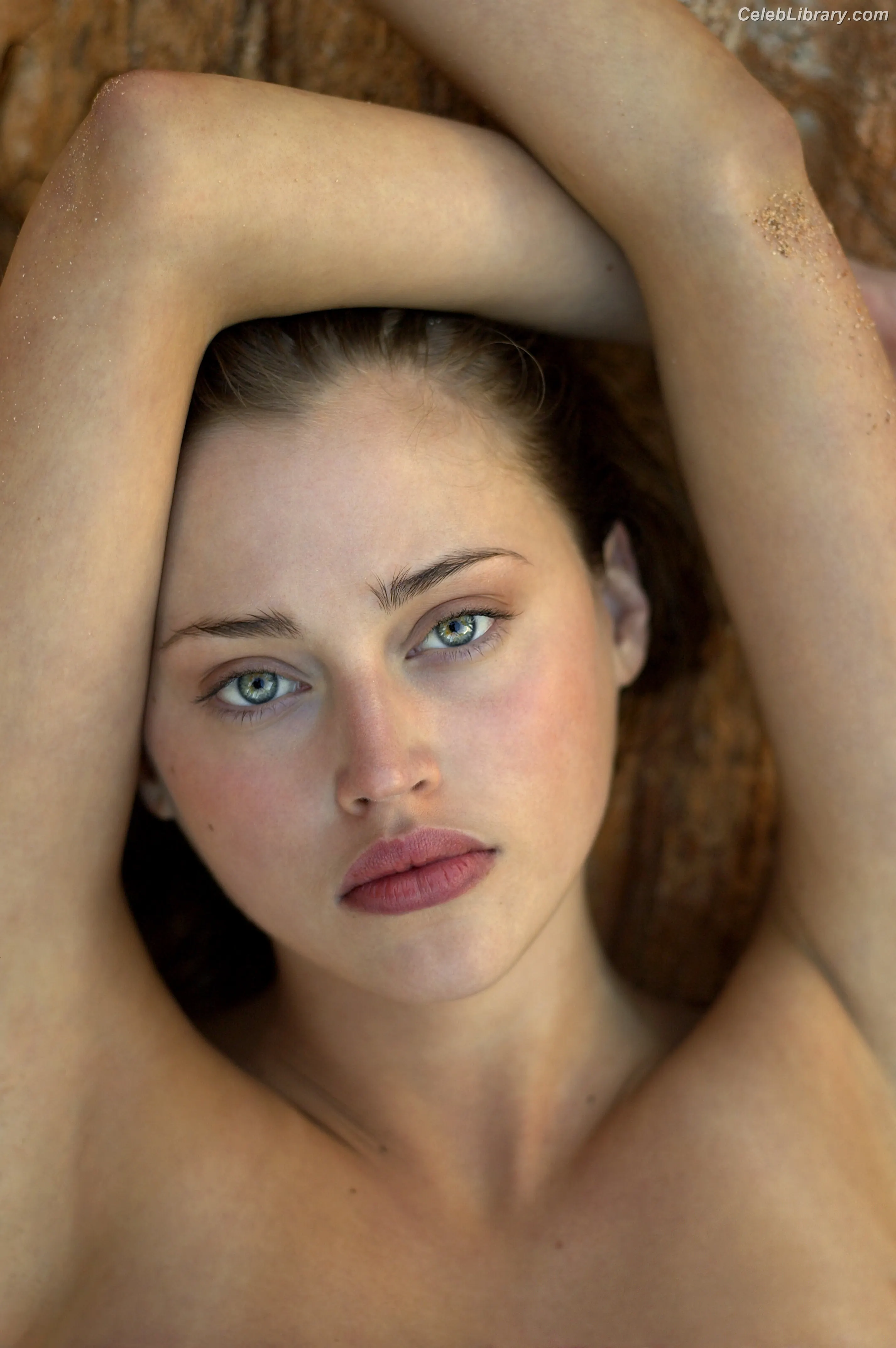Estella Warren photo 8 of 146