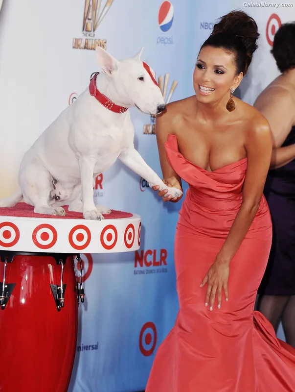 Eva Longoria photo 5 of 793
