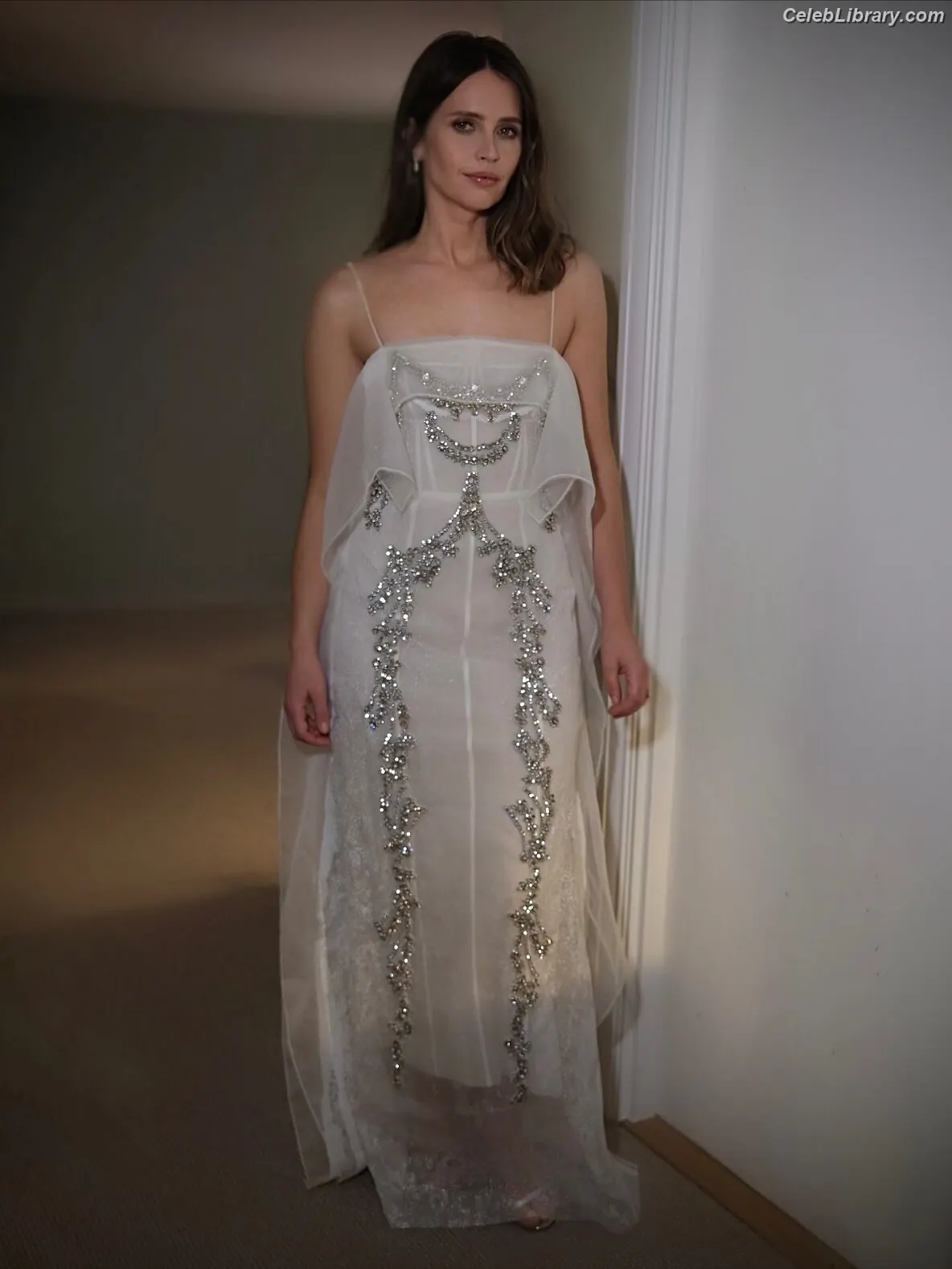 Felicity Jones photo 17 of 235