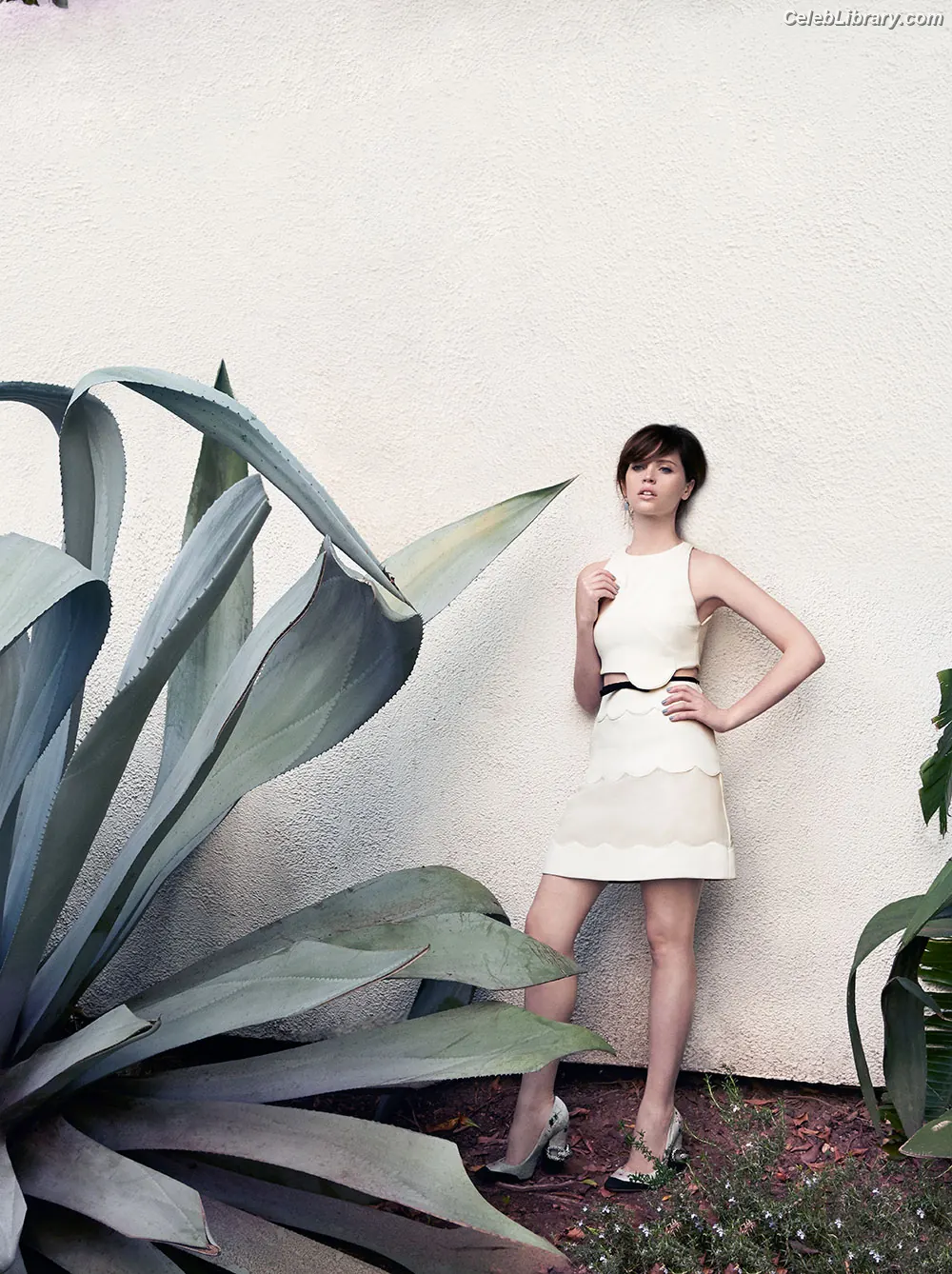 Felicity Jones photo 6 of 235