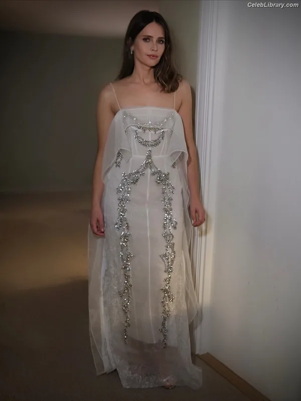 Felicity Jones photo 17 of 236