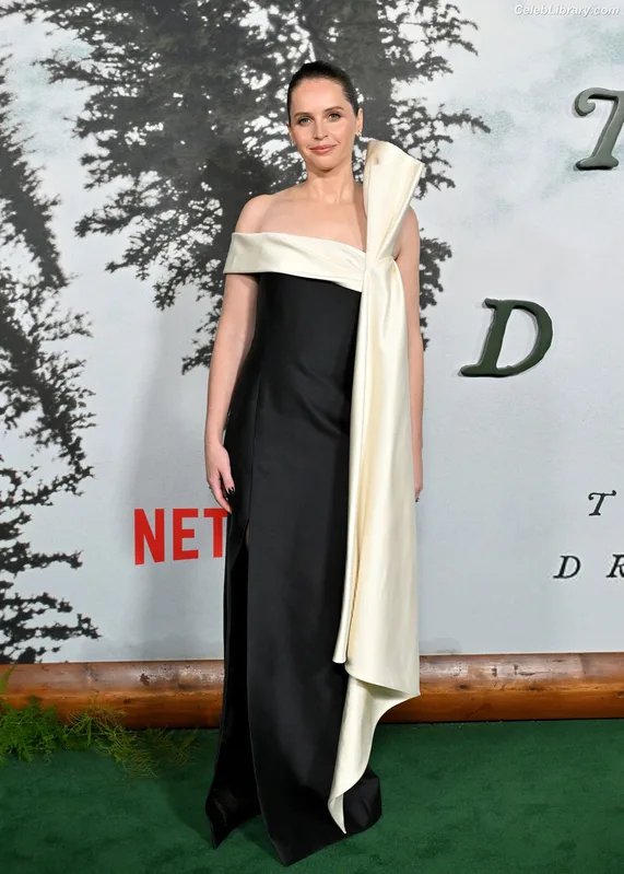 Felicity Jones photo 1 of 236