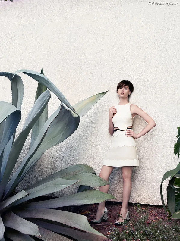 Felicity Jones photo 6 of 236