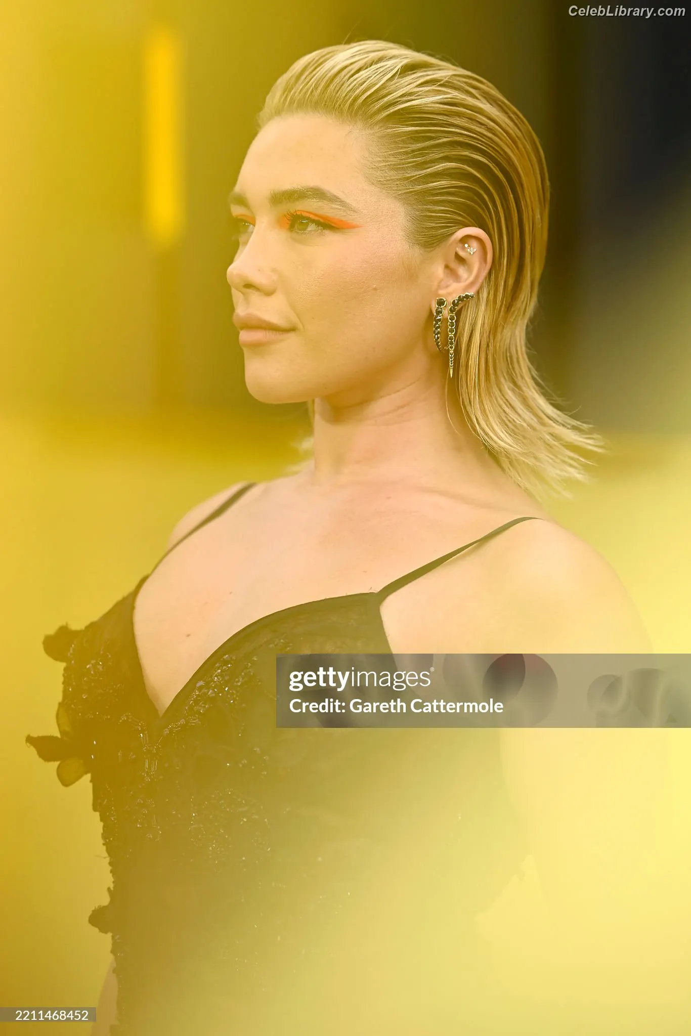 Florence Pugh photo 1 of 1241