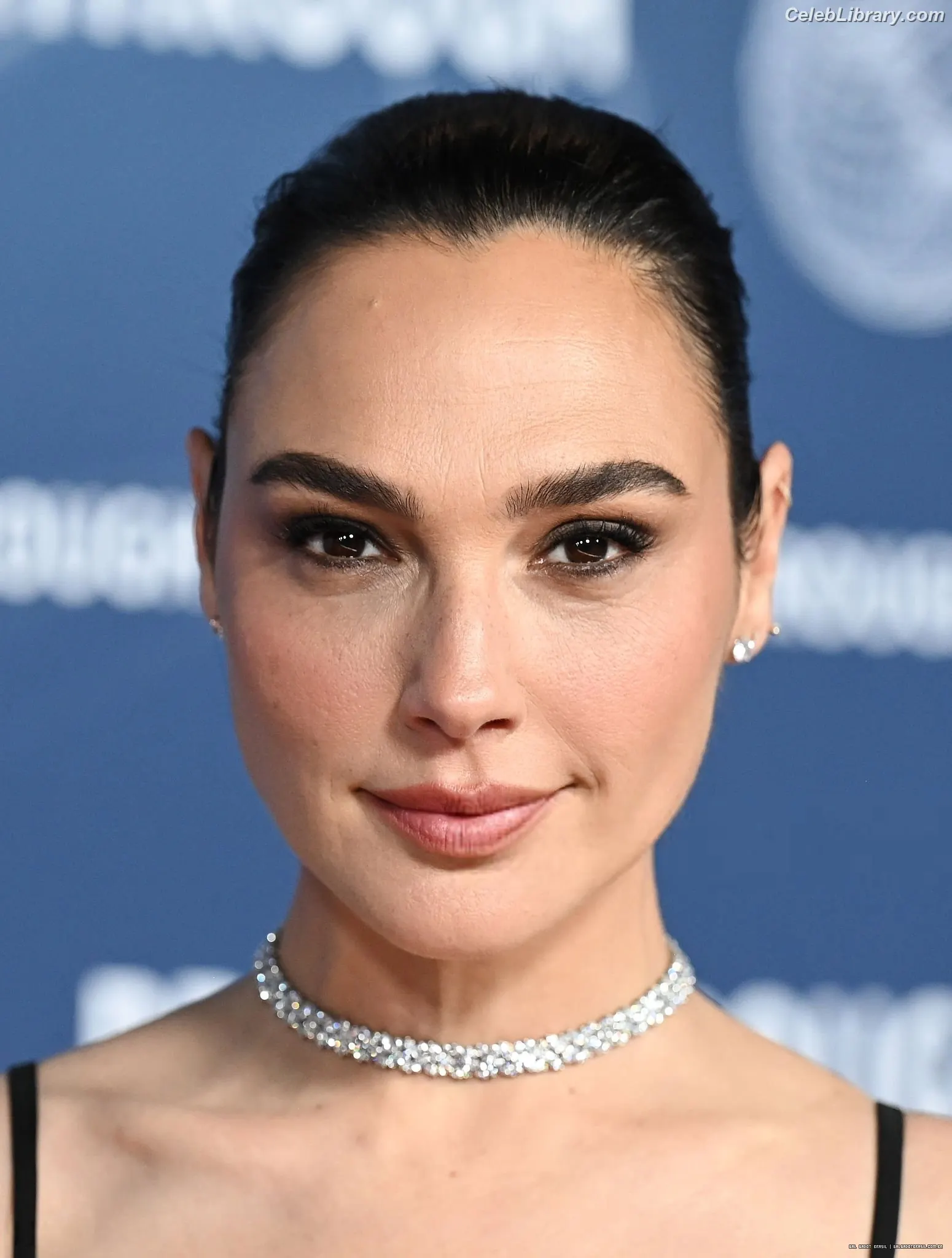 Gal Gadot photo 11 of 1473
