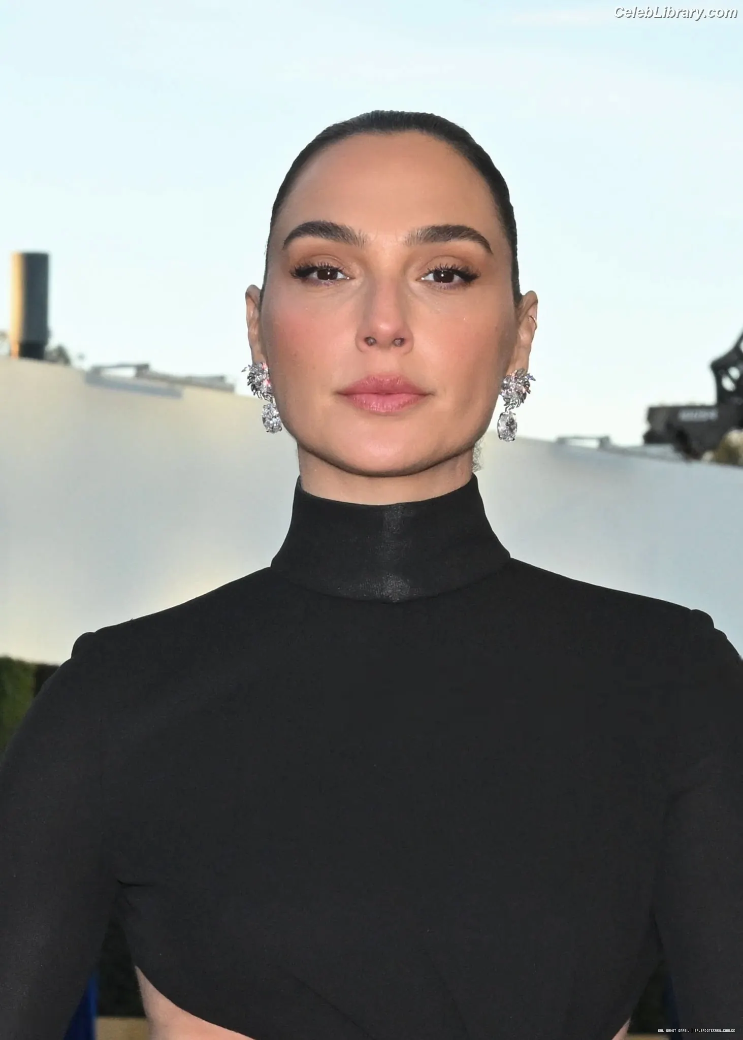 Gal Gadot photo 2 of 1473