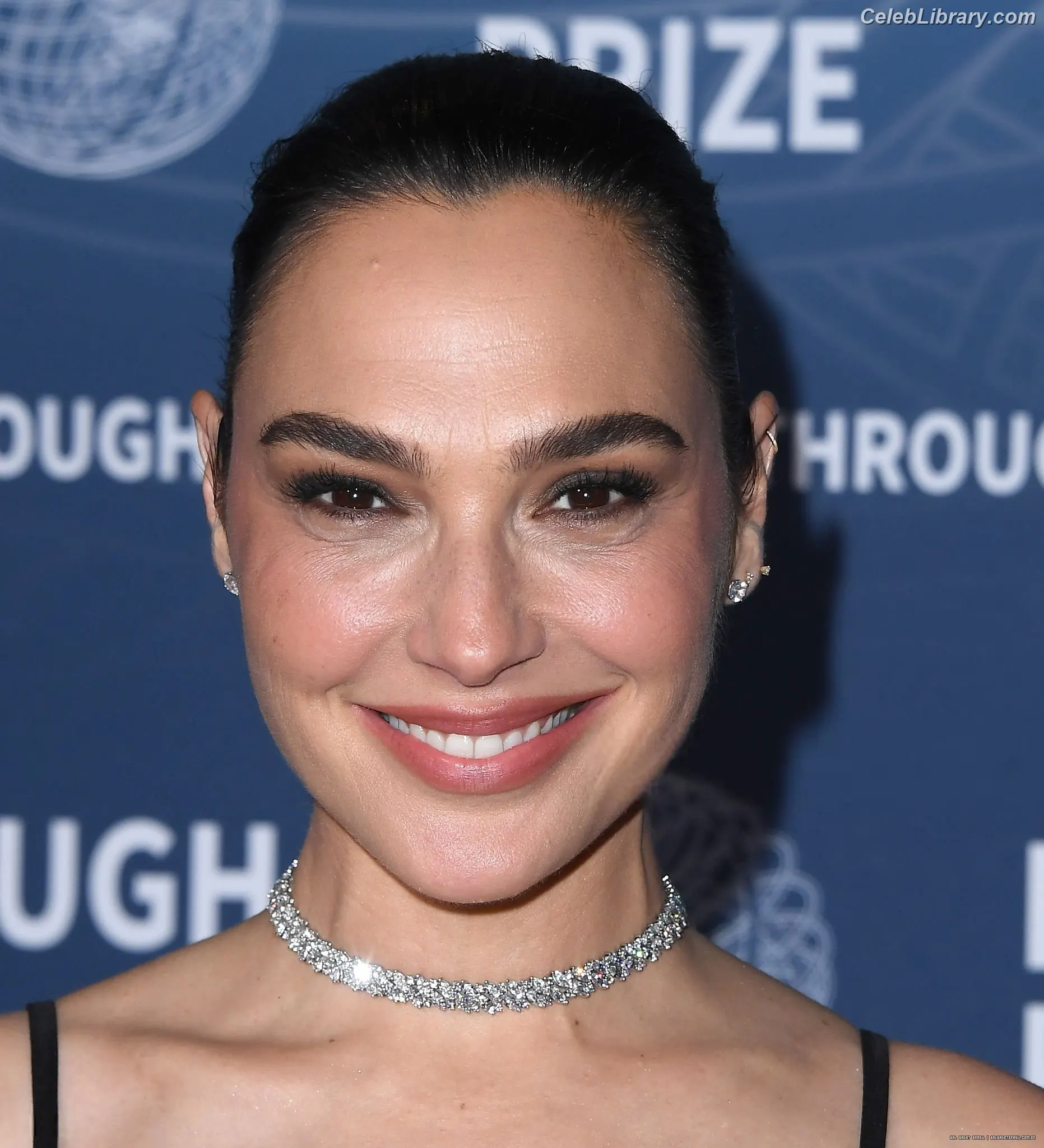 Gal Gadot photo 6 of 1473