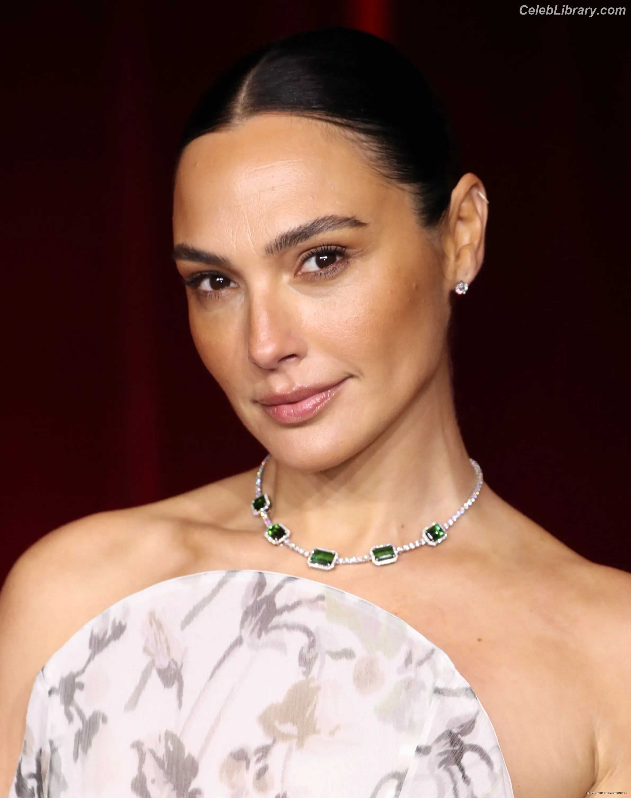 Gal Gadot photo 15 of 1473