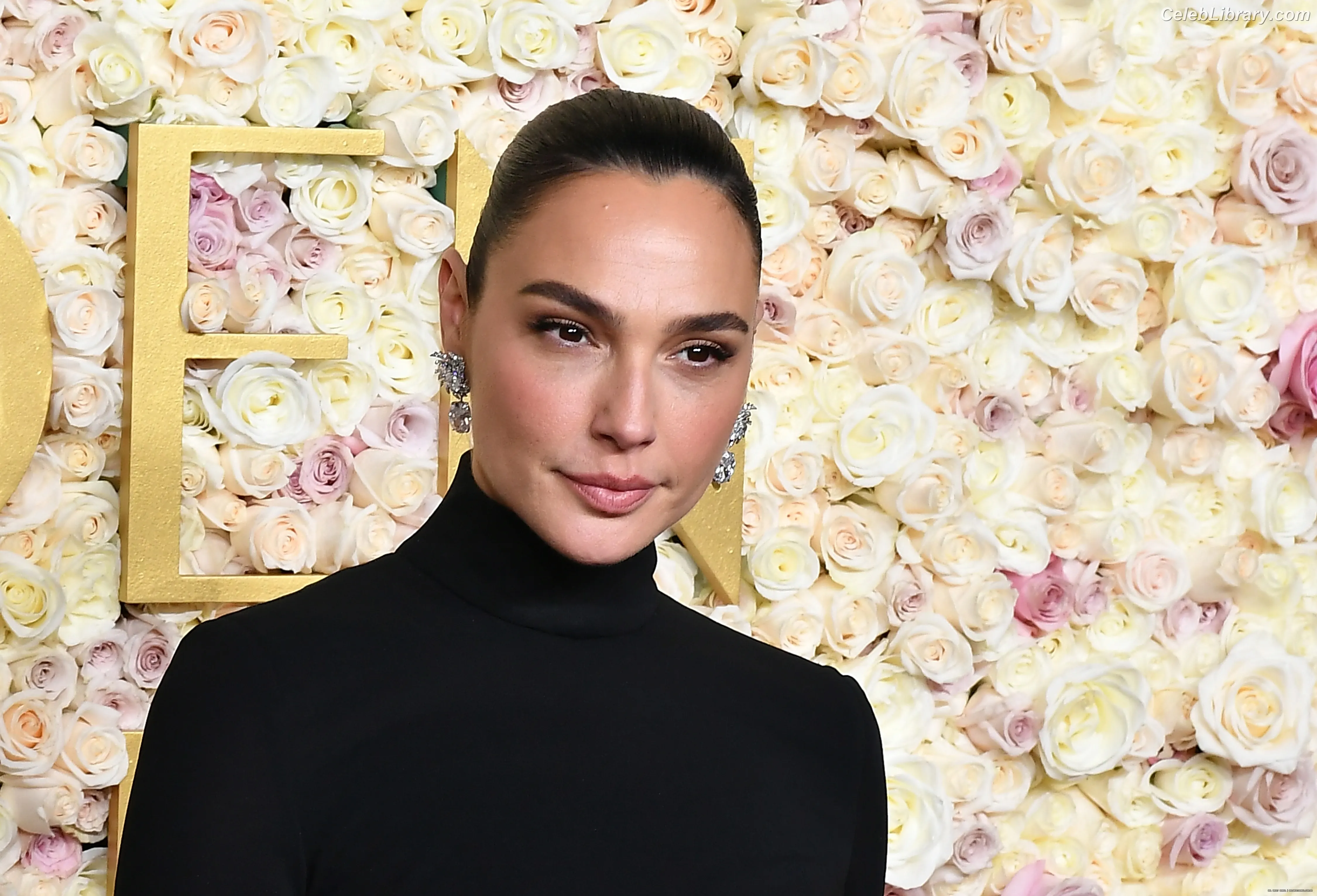Gal Gadot photo 1 of 1473