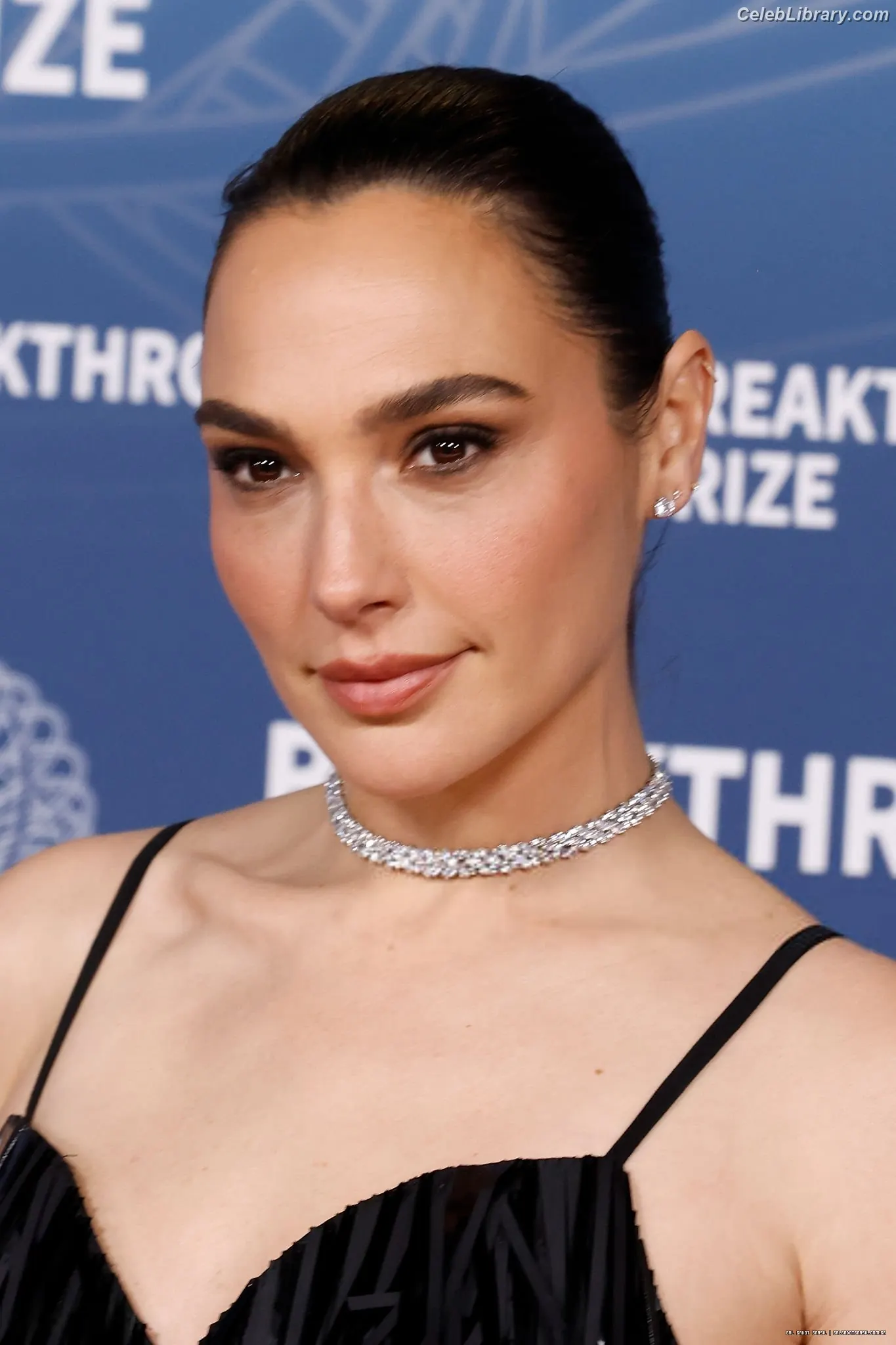 Gal Gadot photo 4 of 1473