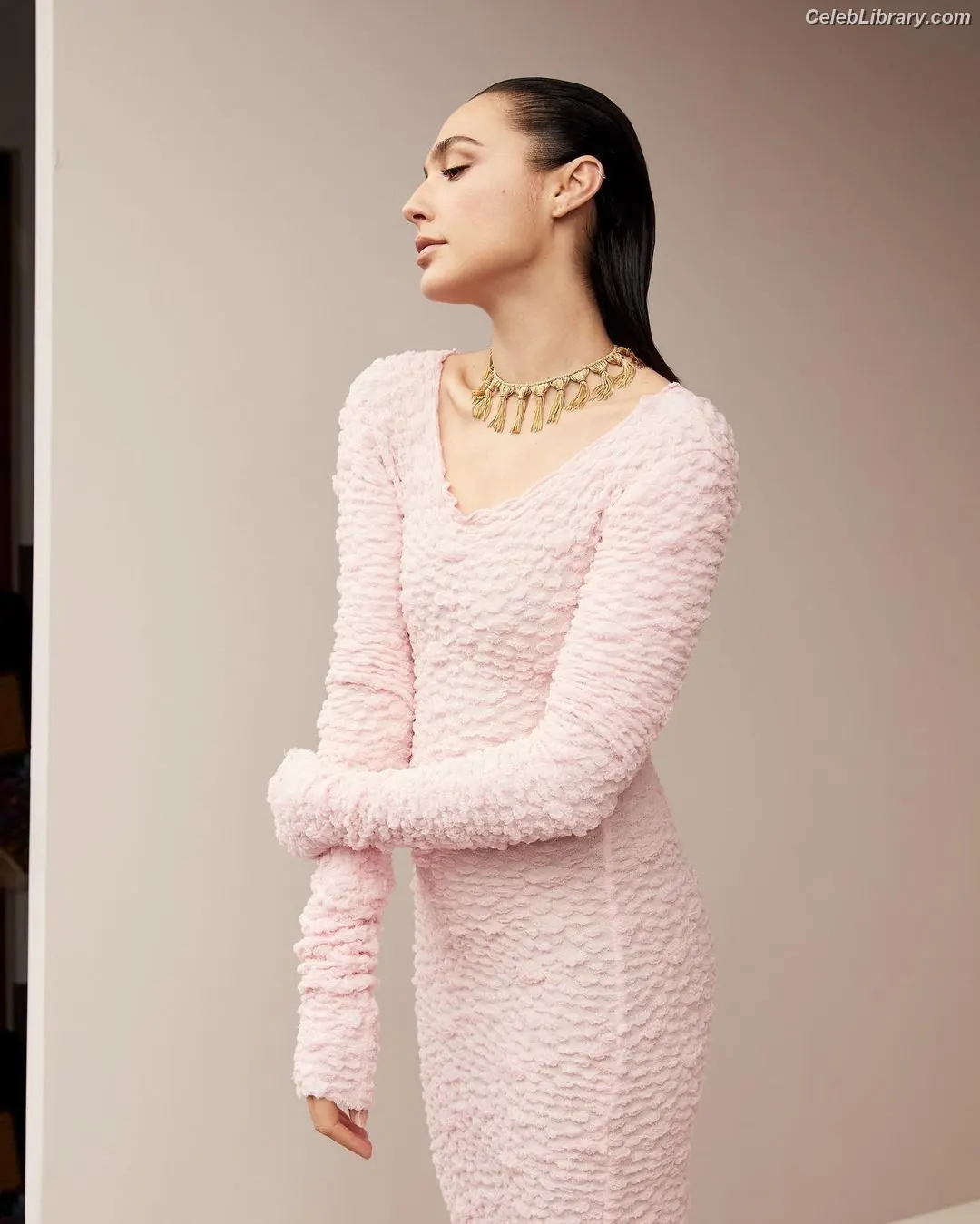 Gal Gadot photo 15 of 1473