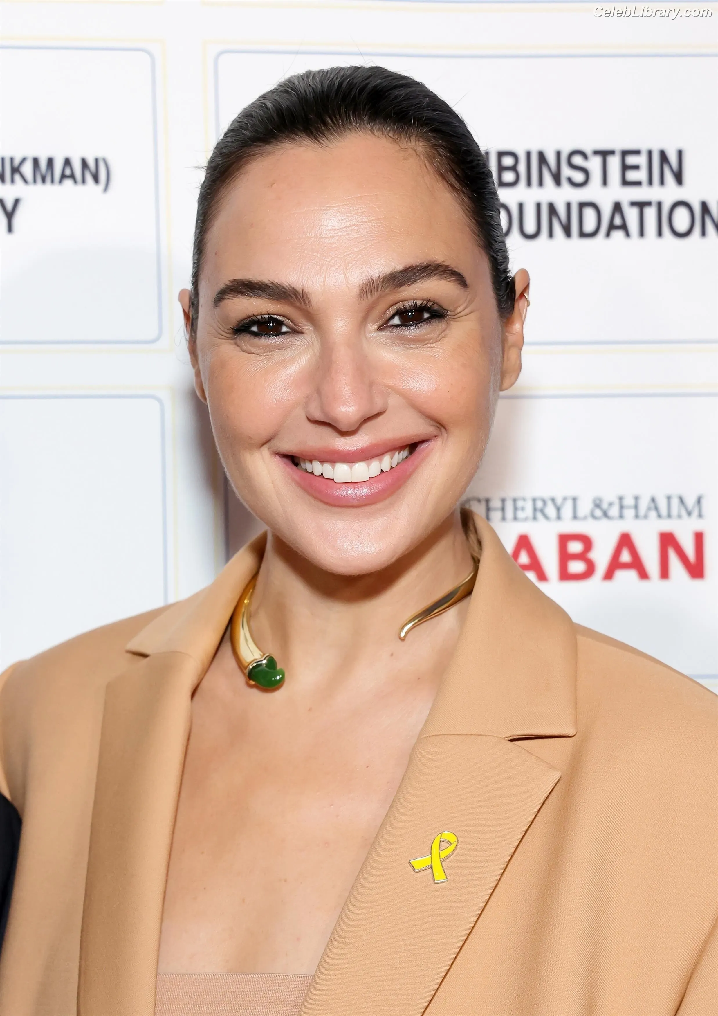 Gal Gadot photo 9 of 1473
