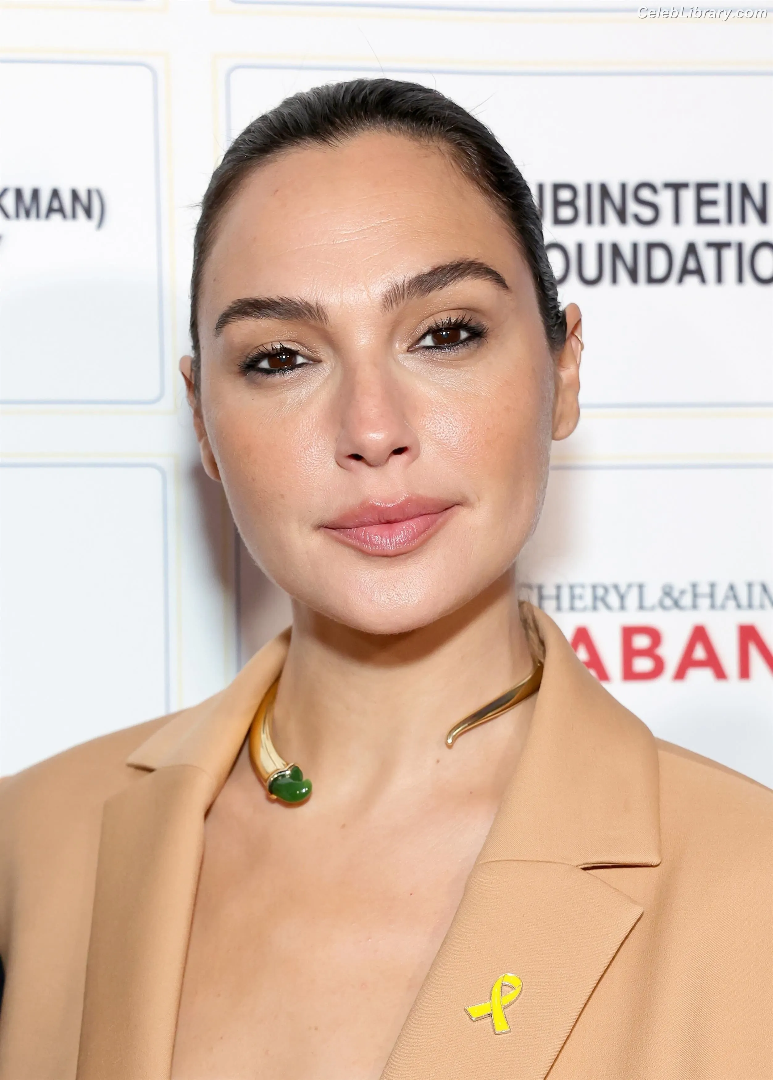 Gal Gadot photo 10 of 1473