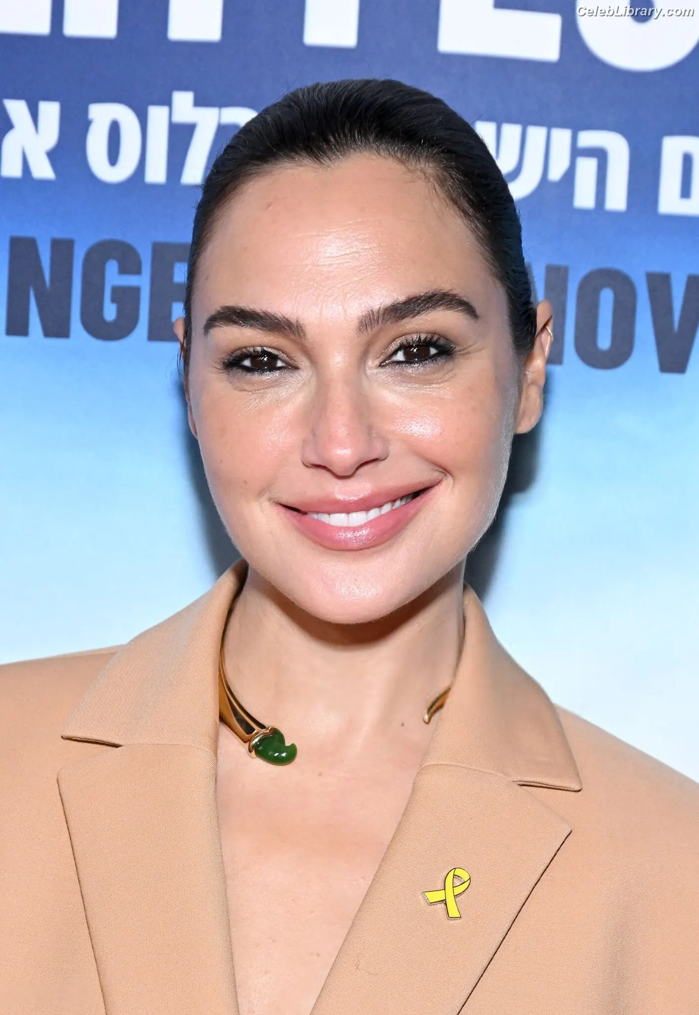 Gal Gadot photo 11 of 1473