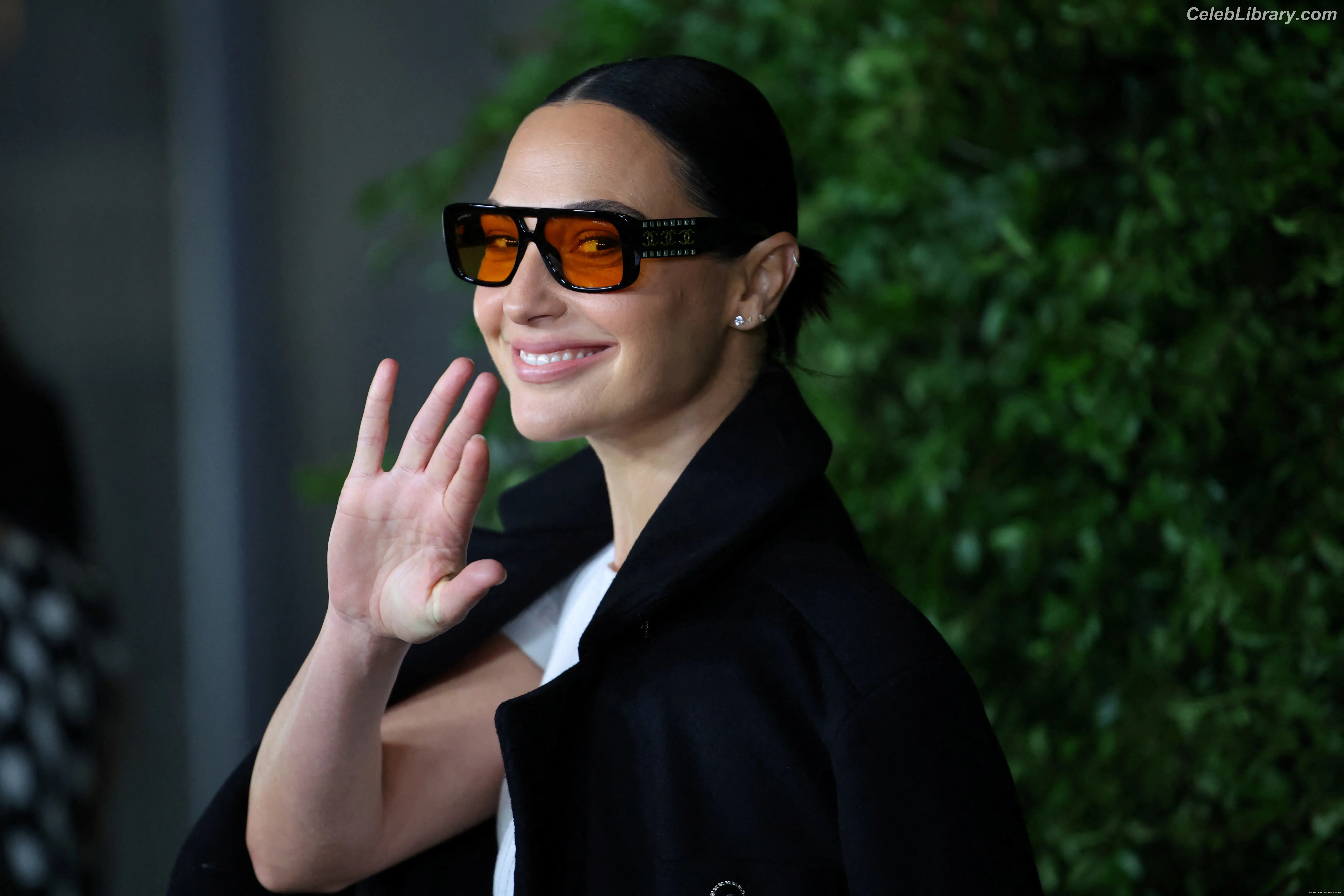 Gal Gadot photo 15 of 1473