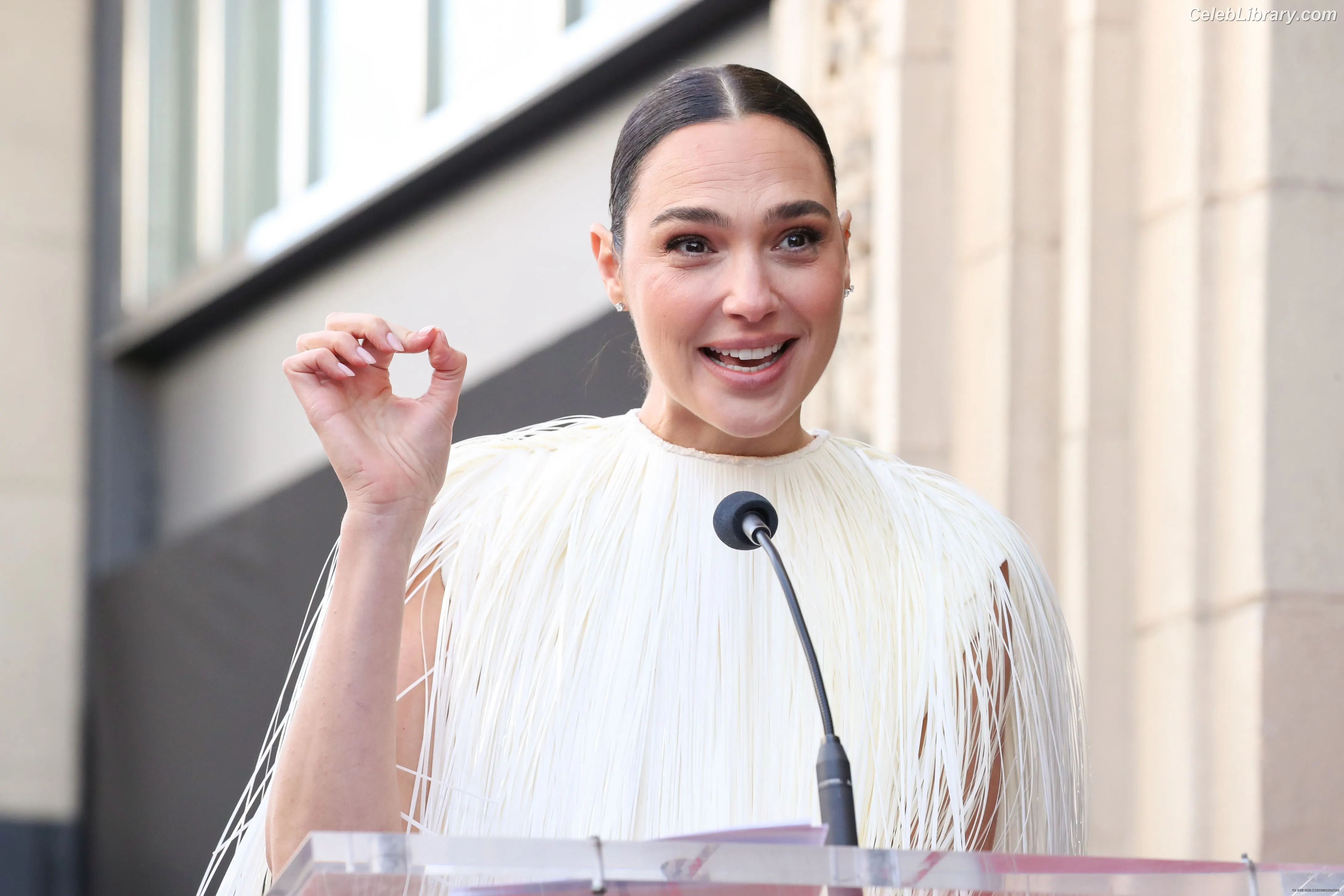 Gal Gadot photo 17 of 1473