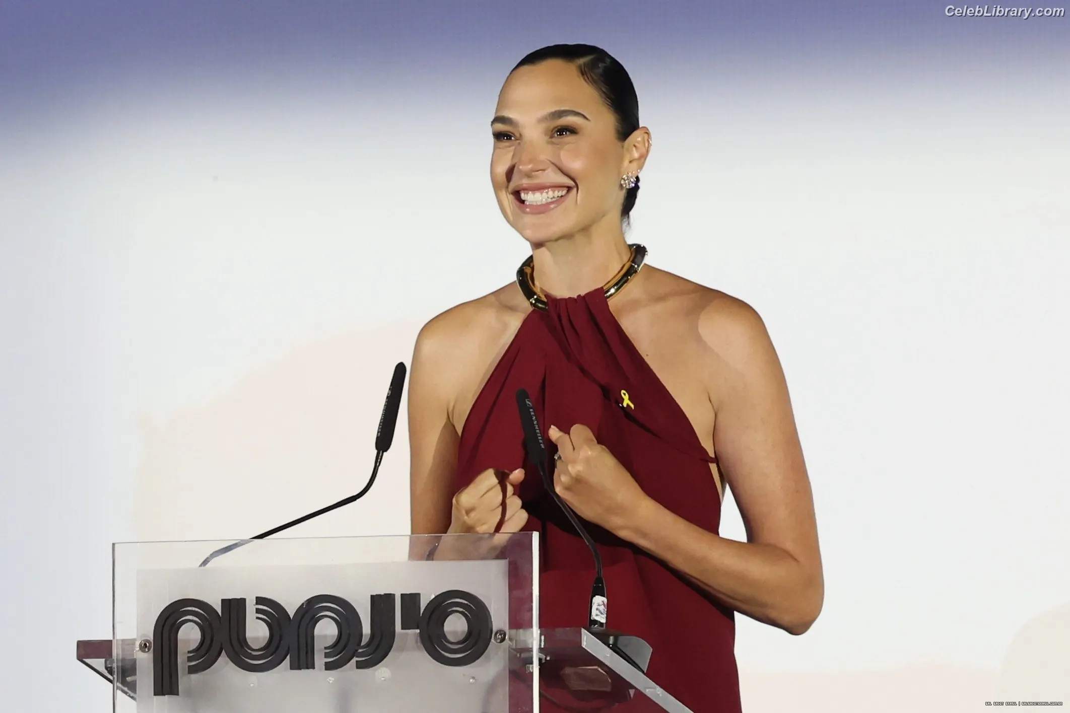 Gal Gadot photo 17 of 1473