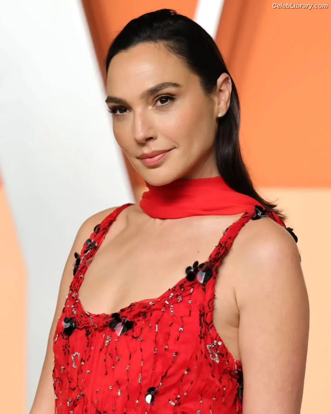 Gal Gadot photo 10 of 1473