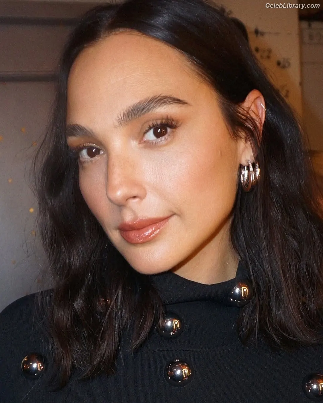 Gal Gadot photo 6 of 1473