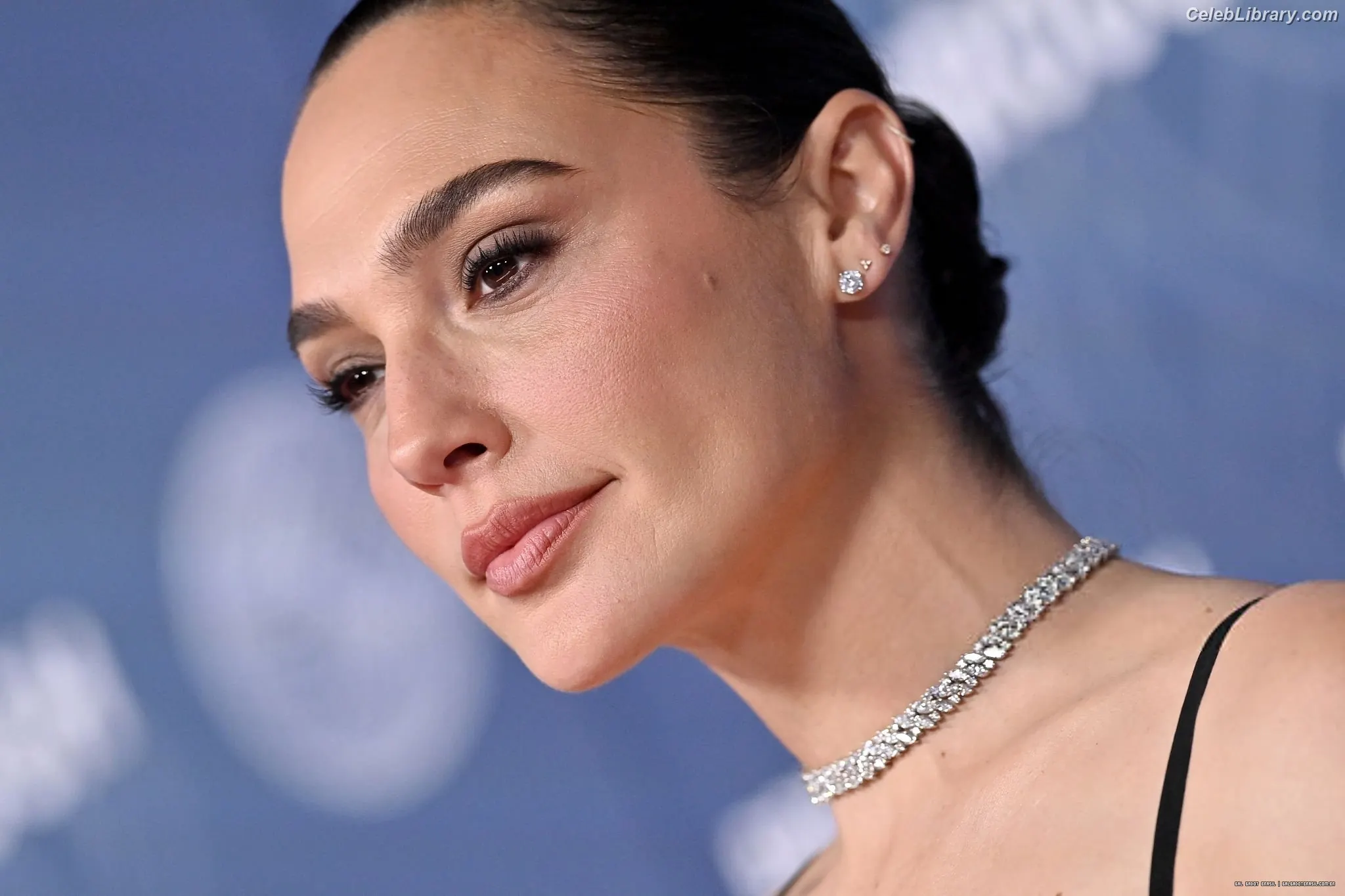 Gal Gadot photo 15 of 1473