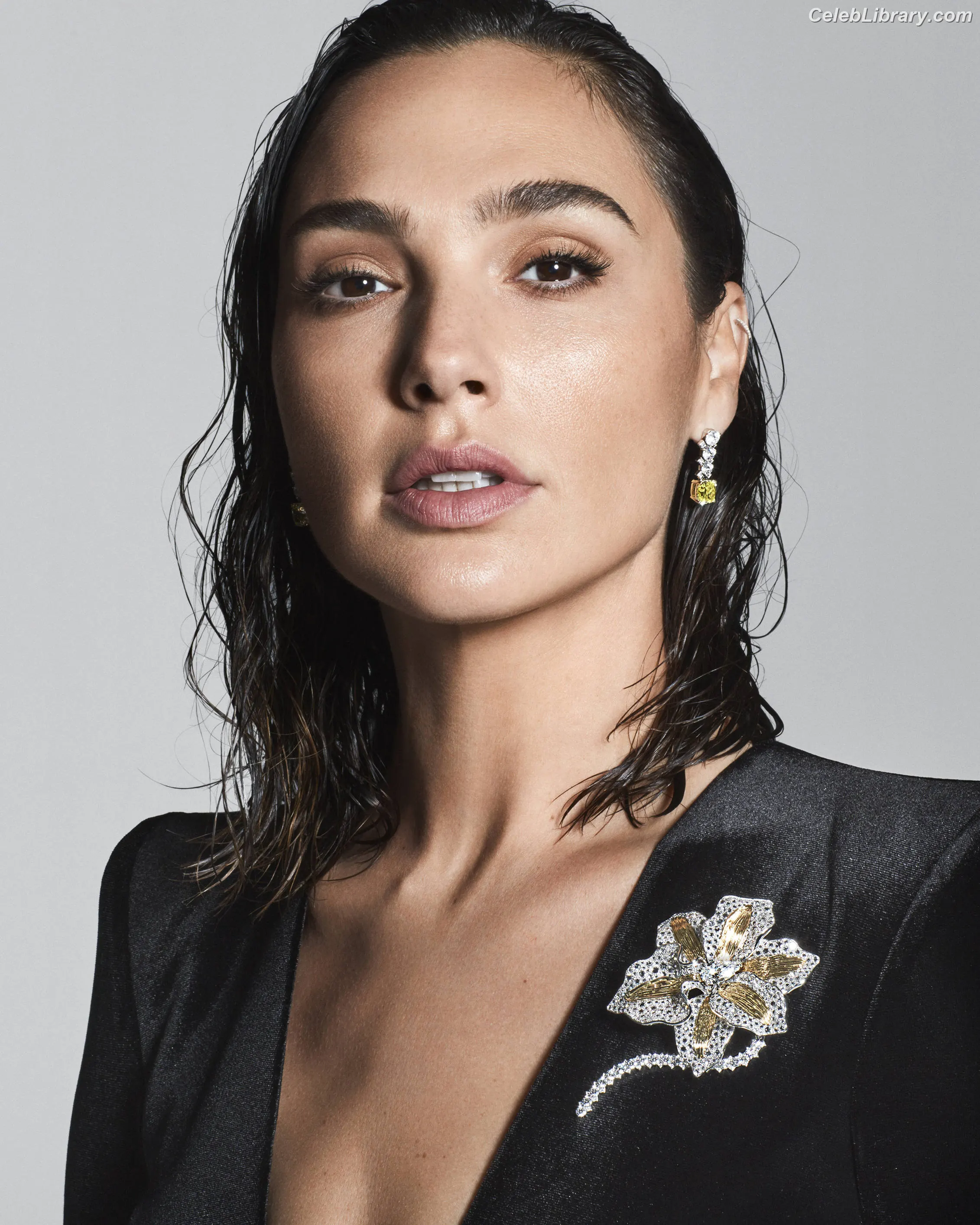 Gal Gadot photo 6 of 1473
