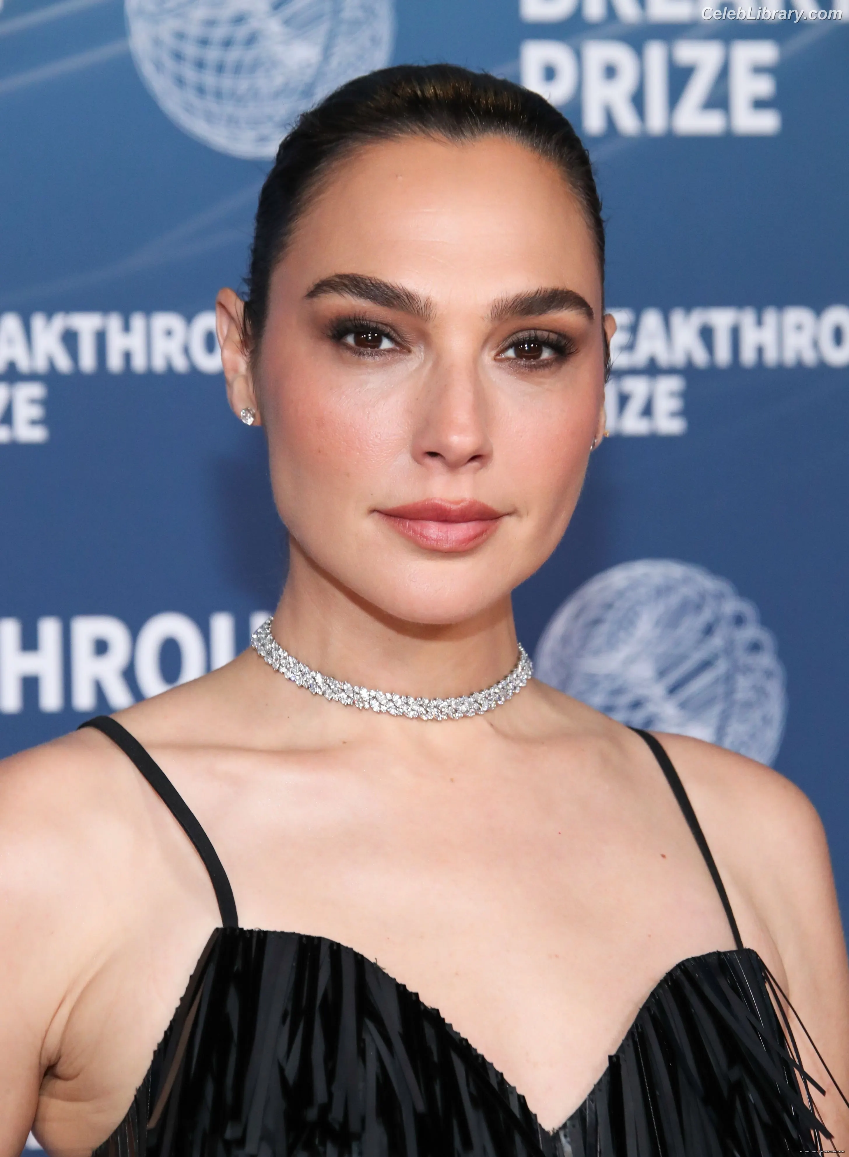 Gal Gadot photo 12 of 1473