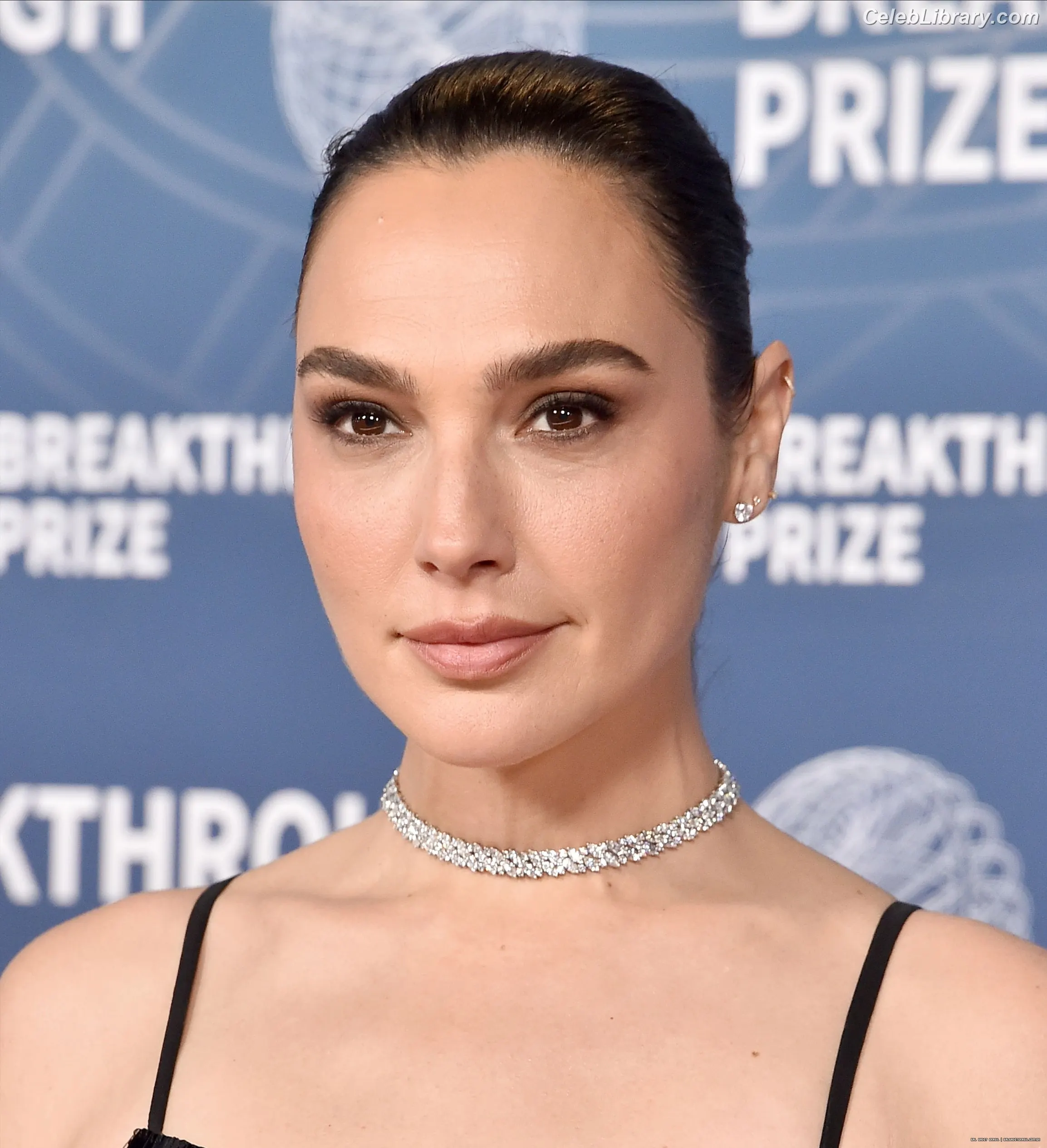Gal Gadot photo 18 of 1473